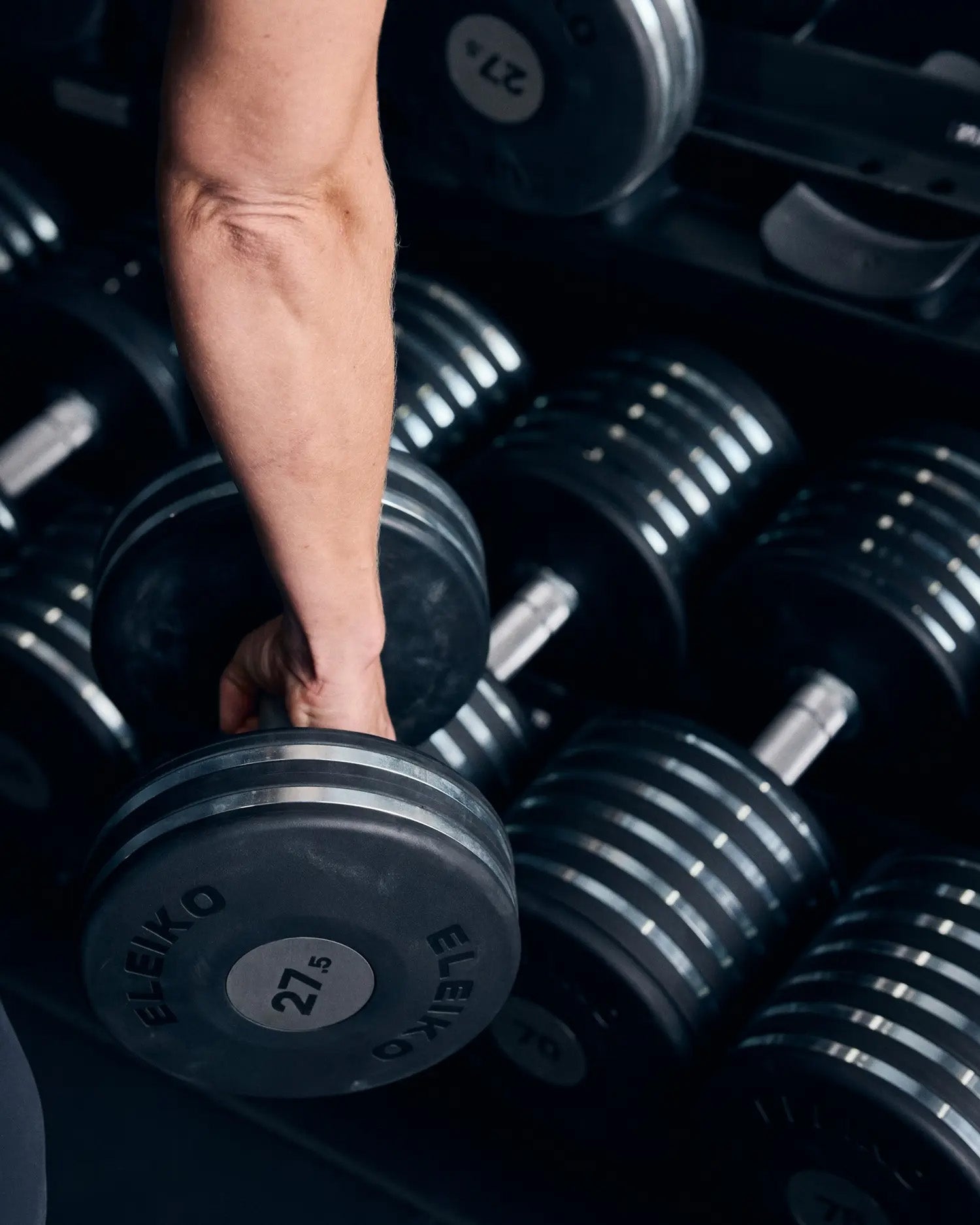 （お取り寄せ商品）ELEIKO プレートダンベル [納期4-8ヶ月]