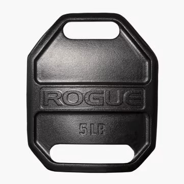 ROGUE エコーウェイトベストプレート