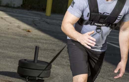Rogue Sled Harness Rogue ウェイトスレッド対応