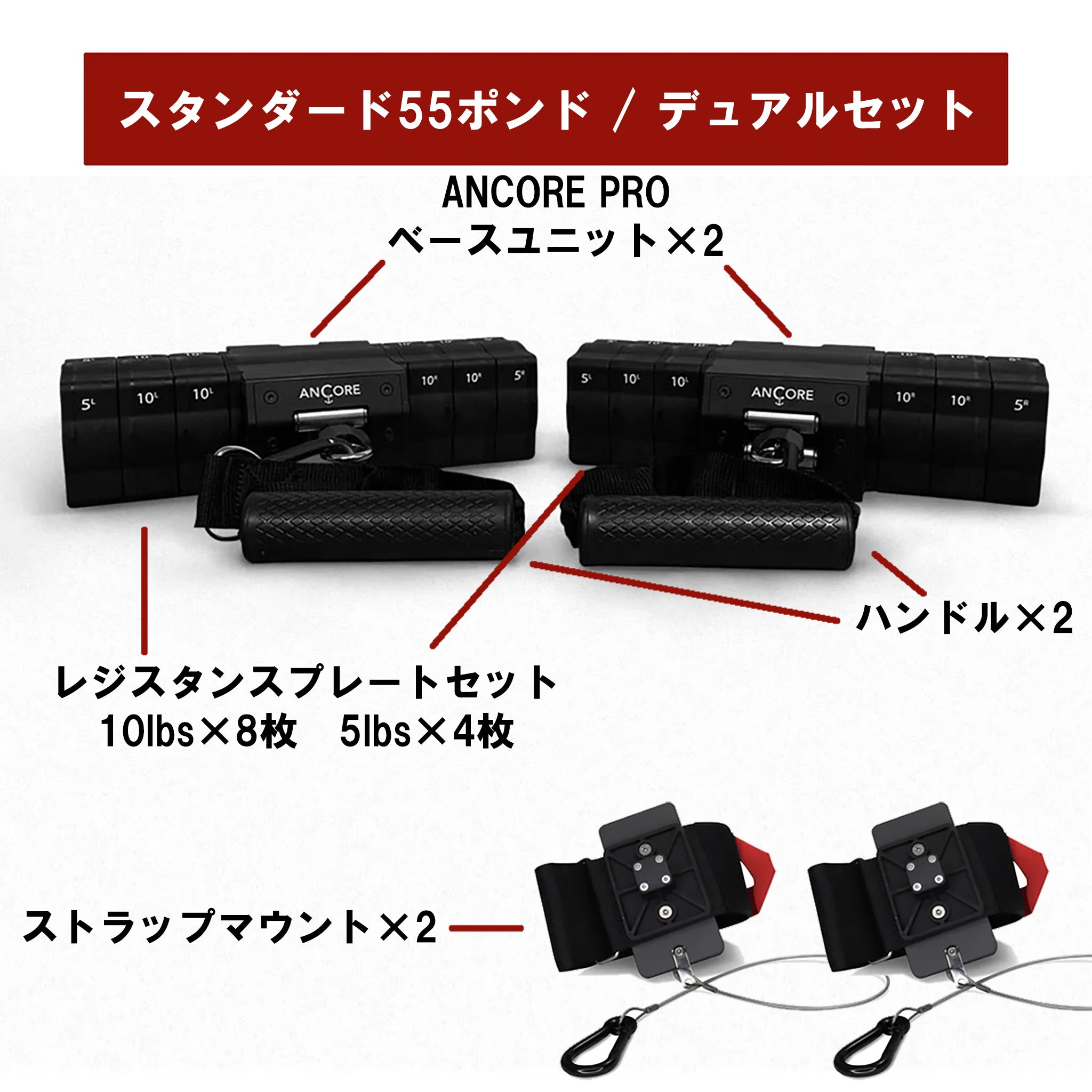 ANCORE PRO