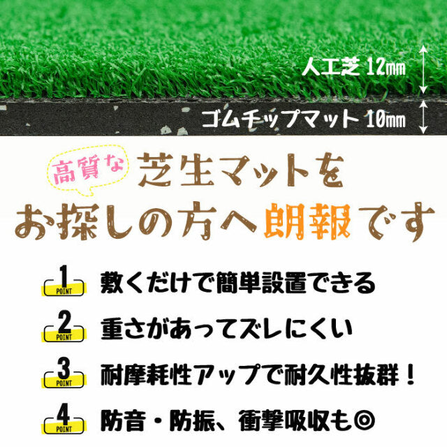SLDS ジム用ラバーターフ（50cm×100cm×厚み22mmタイプ）