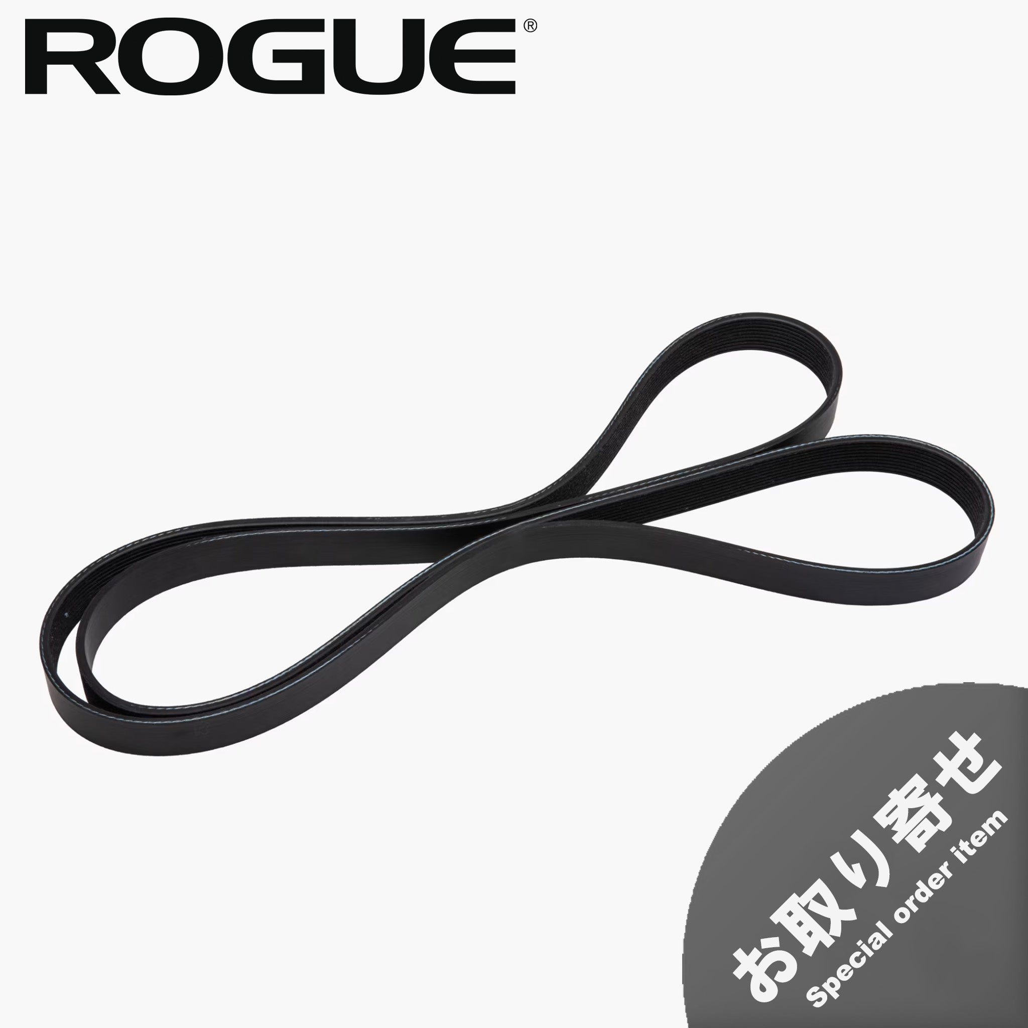 (お取り寄せ商品)ROGUE エコーバイク 交換用パーツ